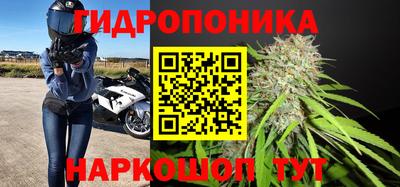 сатива Канаш