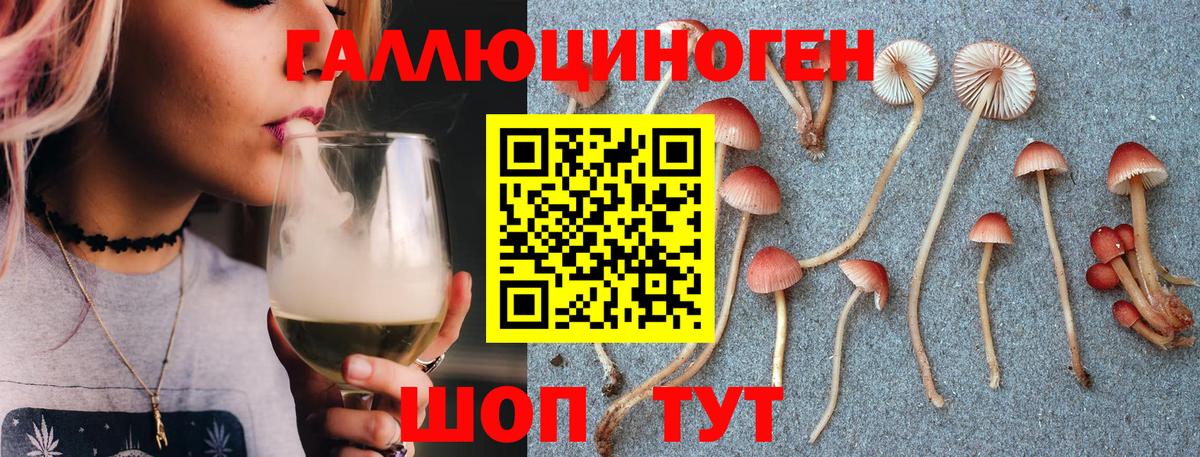 Менделеевск  Галлюциногенные грибы Cubensis  Вход с VPN 