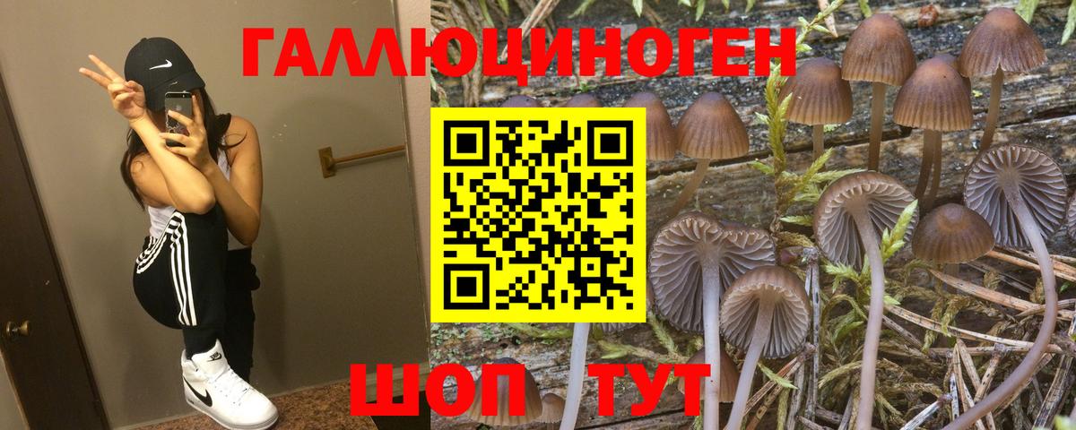 Псилоцибиновые грибы прущие грибы Менделеевск
